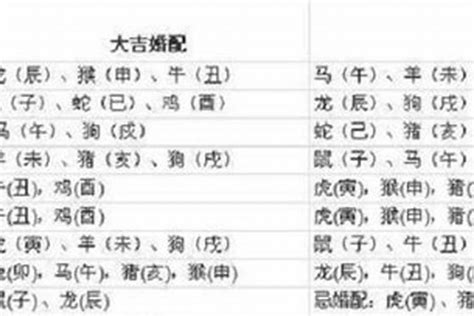 97年什么命|1997年出生属什么生肖 1997年属牛是什么命